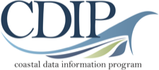 CDIP Logo